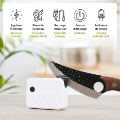 Aiguiseur Électrique FISHTEC QuickSharp