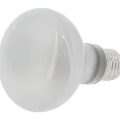 Ampoule pour machine à pop-corn professionnelle - GT CATERING