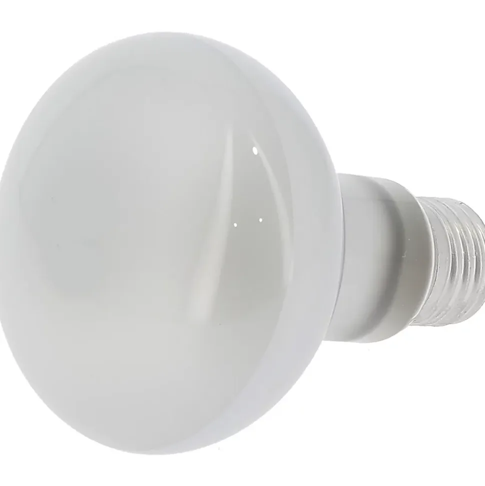 Ampoule pour machine à pop-corn professionnelle - GT CATERING