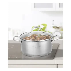 Arthur Martin Marmite 32 cm Acier inoxydable 12 litres Couvercle verre Tous feux