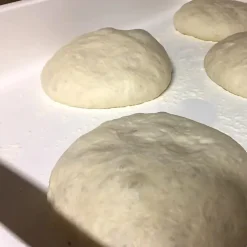 Bac alimentaire avec couvercle (1,2L - 6.3x15.7x21.3cm). Cuisines, restaurants, hôtels, magasins, boucheries, écoles, traiteurs