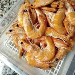 Bac de décongélation avec grille de 4,2 L (35cm x 23cm x 7.5cm) - Hôtellerie, restauration, cuisines... Sans BPA