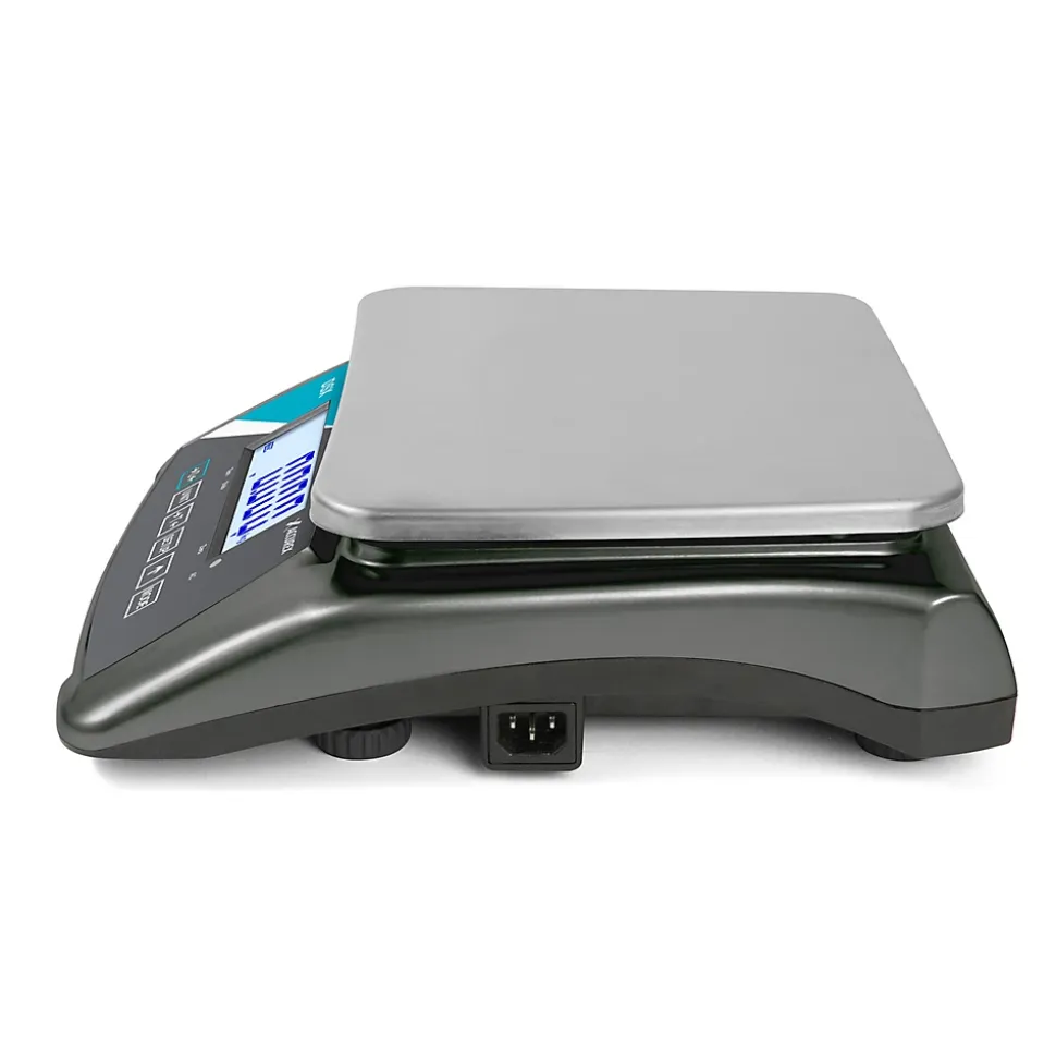 Balance Industrielle de Table Accurex Série DSX - Gram - l30- L0.1- P34.5- h10.7- Acier Inoxydable