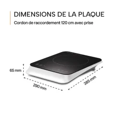 BELDEKO - Plaque Induction Portable de 2000W sensitive, 10 niveaux de puissance, minuterie, posable