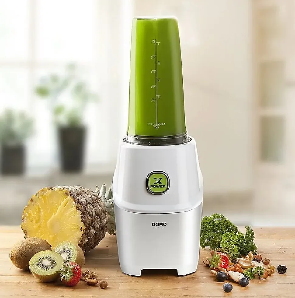 Blender 0.6l 1000w blanc/argent Domo DO700BL x power