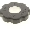 Bouchon bac a sel pour Lave-vaisselle Thomson, Brandt, Proline, Oceanic - G413642