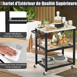 Chariot Barbecue Desserte Plancha Barbecue en Métal avec Comptoir 2 Étagères 9 Crochets