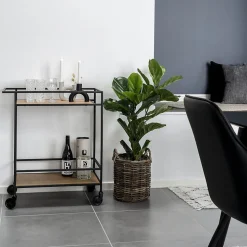 Chariot de bar Vita avec 2 étagères en chêne et cadre noir - Design moderne et élégant