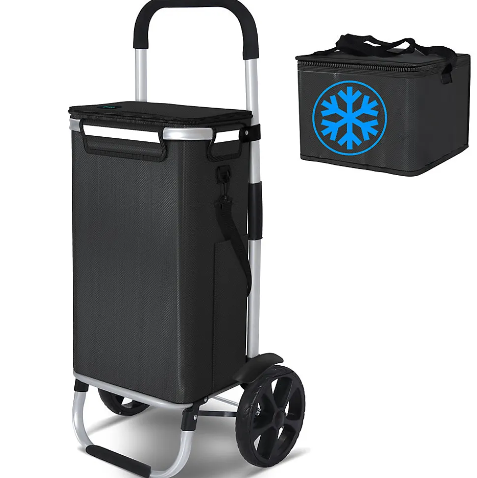 Chariot de course pliable aluminium 2 roues avec sac isotherme noir VOUNOT