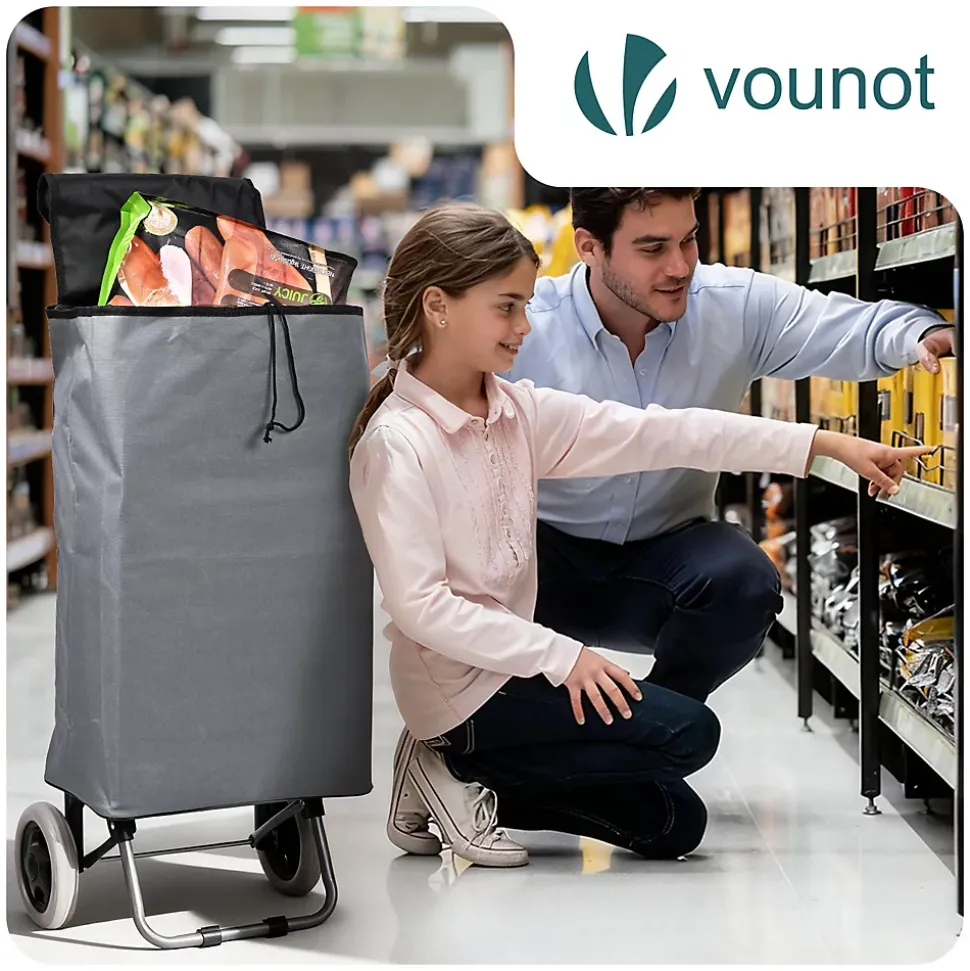 Chariot de courses 2 roues pliable 59L gris VOUNOT