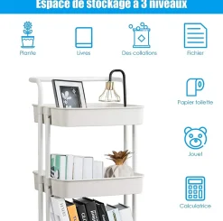 Chariot de Rangement avec 3 Paniers Ciseles Presente 4 roulettes Universelles 2 avec Frein 20KG de Support de Poids Blanc