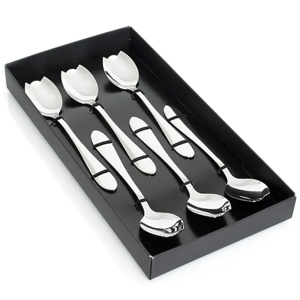 Coffret 6 cuilleres melon atlanta