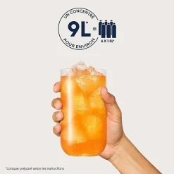 Concentrés SODASTREAM - Lot de 6 concentrés Agrumes sans sucres - Jusqu'a 54L de boissons - 440 ml