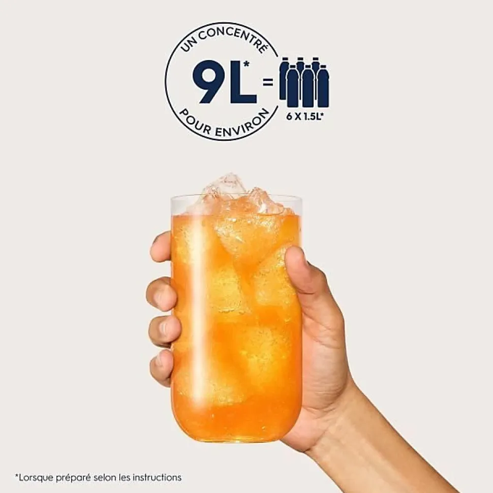 Concentrés SODASTREAM - Lot de 6 concentrés Agrumes sans sucres - Jusqu'a 54L de boissons - 440 ml