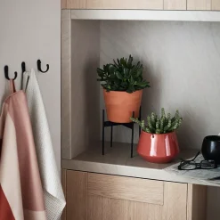 Corniche et bandeau cache-lumière GoodHome Alpinia coloris naturel h. 35 mm x l. 2.4 m x ep. 59.5 mm