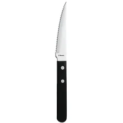 Couteau à Steak pour Restaurant Manche Noir 217 mm Lot de 12 Amefa