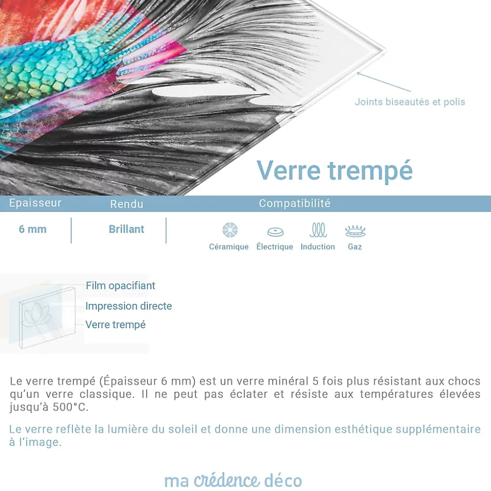 Crédence cuisine fond de hotte cygnes et coeur - Verre trempé - L 60 cm x H 45 cm - MaCrédenceDéco