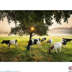 Crédence cuisine fond de hotte Arbre et vaches - Verre trempé - L 90 cm x H 60 cm - MaCrédenceDéco