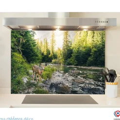 Crédence cuisine fond de hotte Biche-et- Lrivière x H Verre trempé - MaCrédenceDéco