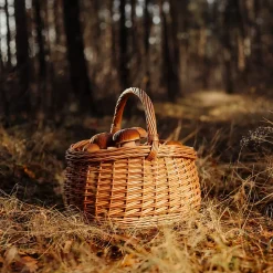 Creative Home Grand Panier Osier Avec Anse 43 x 33 x 40 cm - Panier Champignons Léger Naturel