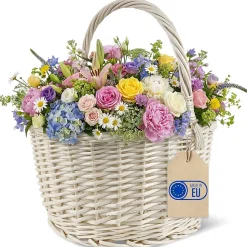 Creative Home Panier Osier Blanc Avec Poignées 35 x 35 x 39 cm - Grand Léger - Panier Fruits Cadeau - Naturel