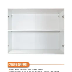Cuisineandcie - Meuble haut de cuisine Eco Blanc 2 portes L 60 cm