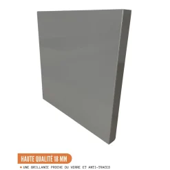 Cuisineandcie - Meuble haut de cuisine Eco Gris Brillant 2 portes L 60 cm