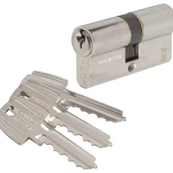 Cylindre 2 entrées varié nickelé - 50 x 40 mm - TE5 - Tesa