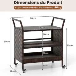 Desserte Exterieur Plancha à 3 Niveaux, en Rotin avec roulettes, Étagères , Poignées Latérales, Jardin, Porche, 86 x 50 x 89 cm