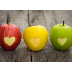 Desserte pliante BAUHAUS avec roulettes, Structure grise, 2 niveaux, 4 positions