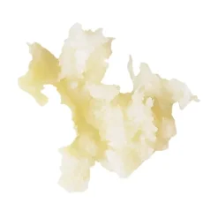 Disque Essentail râpeur 1 mm - Robot Coupe