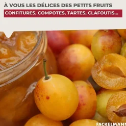 Dénoyauteur de prunes Fackelmann Arcadalina