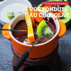 Ensemble de 2 Brûleurs alcool fondue savoyarde FM Professional