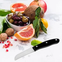 Ensemble de 6 Couteaux à légumes 20 cm Nirosta Fit