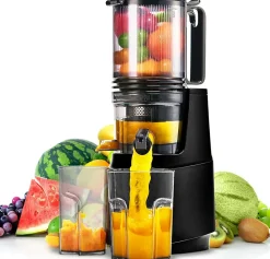 Extracteur de Jus Lent 250W Large Ouverture, Pressage à Froid