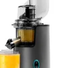 Extracteur de jus Slow Juicer 200 W Noir/Gris