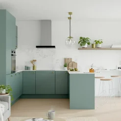 Façade de cuisine 1 tiroir et 2 casseroliers Stevia vert mat l. 60 cm x H. 72 cm GoodHome