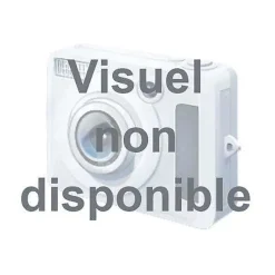 FAURE Table de cuisson gaz 4 brûleurs dont 1 rapide 3 kW - FGH62414WA