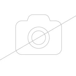 Filtre charbon pour hottes BOSH, SIEMENS 00299600 - DHZ3100