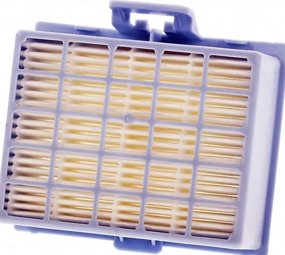 Filtre HEPA pour aspirateurs Bosch 17001131