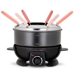 Fondue électrique 650w 6 fourchettes Livoo DOC308