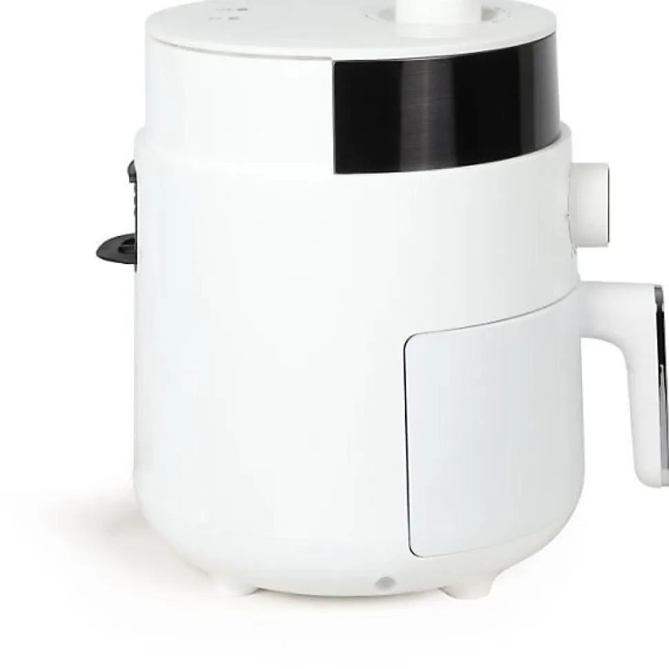 Friteuse Electrique sans huile multifonction LIVOO - DOC256