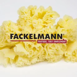 Girolle à fromage 22 cm Fackelmann Boissellerie