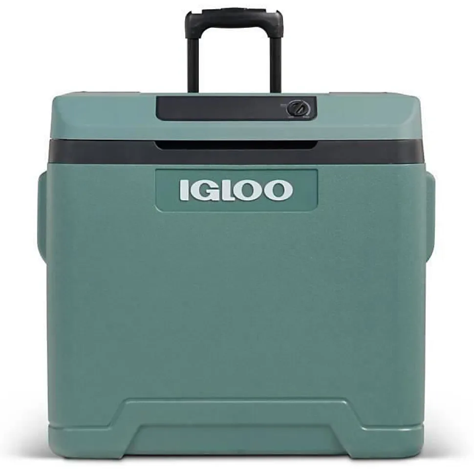 Glacière électrique Igloo 42 L Spruce 12V 230V avec roulettes et poignée trolley