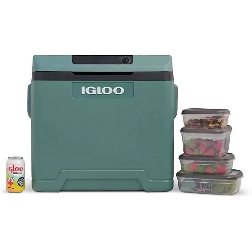 Glacière électrique Igloo 42 L Spruce 12V 230V avec roulettes et poignée trolley