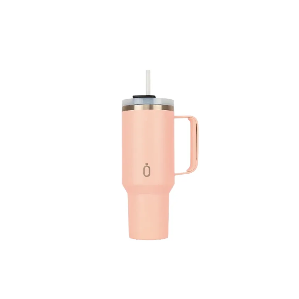 Gourde avec paille Latt-Coton Candy-1100ml