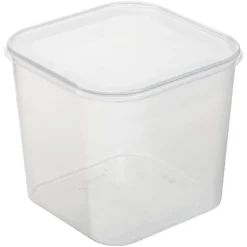 Grande Boîte alimentaire congélation carrée 4,6 litres - Transparent