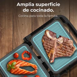 Grill Cecotec 1500W RockStone Noir