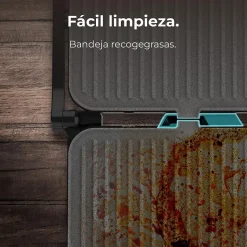 Grill Cecotec 1500W RockStone Noir