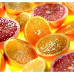 KENWOOD Accessoires AT312B Presse-agrumes